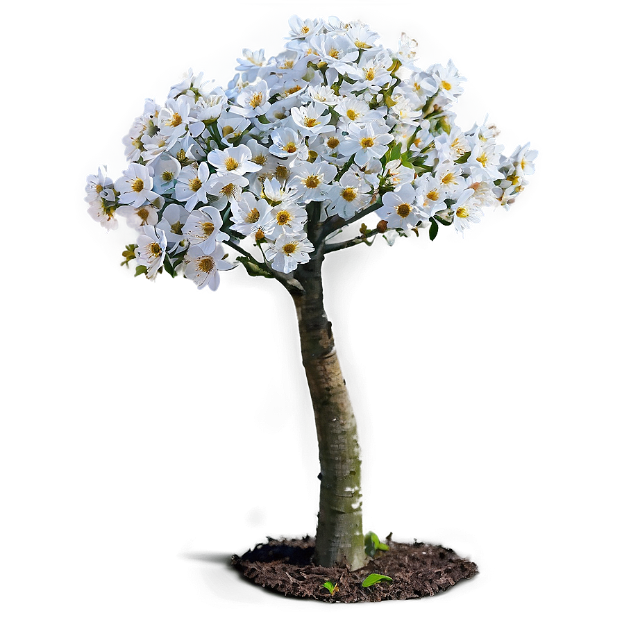 Small Tree With Flowers Png 5 PNG image