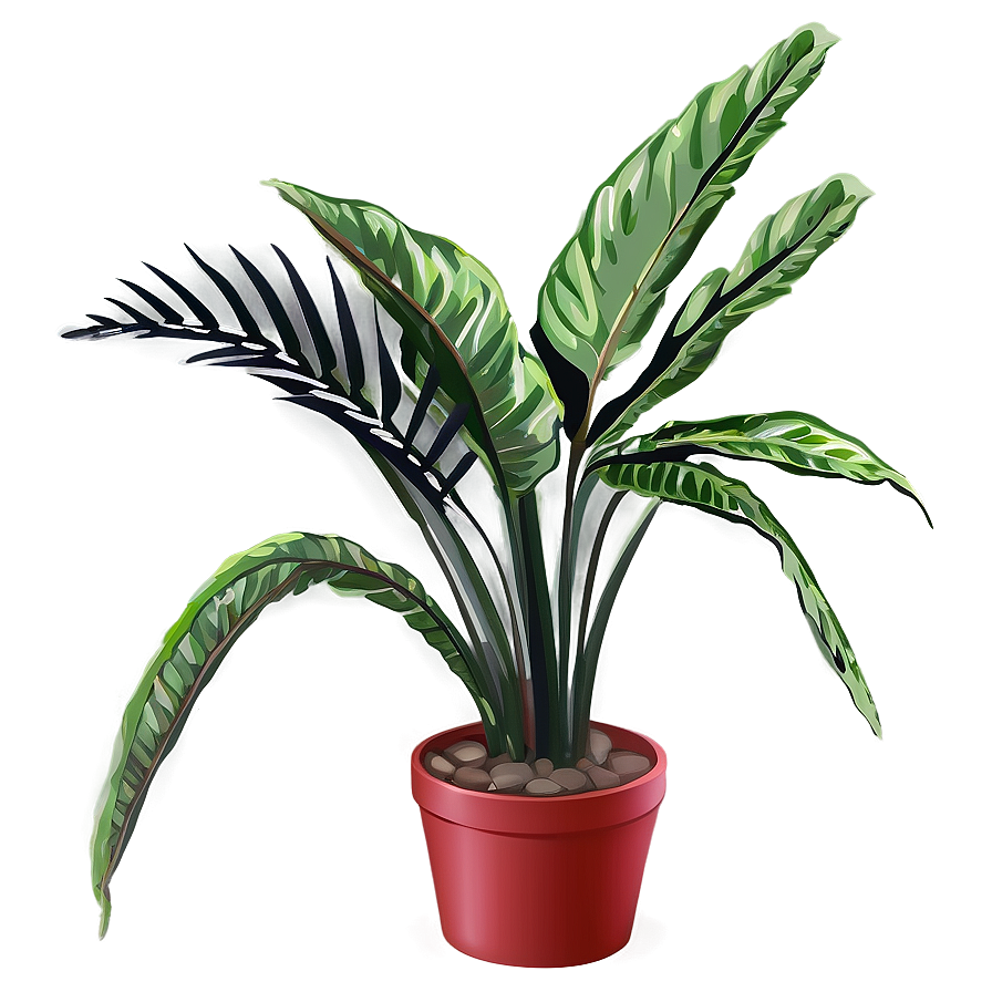 Small Tropical Plant Png Deg48 PNG image