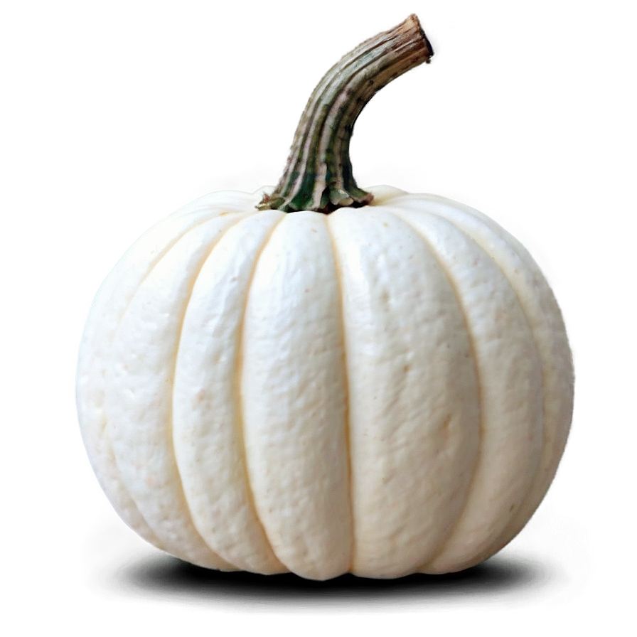 Small White Pumpkin Png Aow79 PNG image