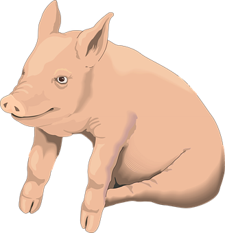 Smiling Cartoon Pig Illustration PNG image
