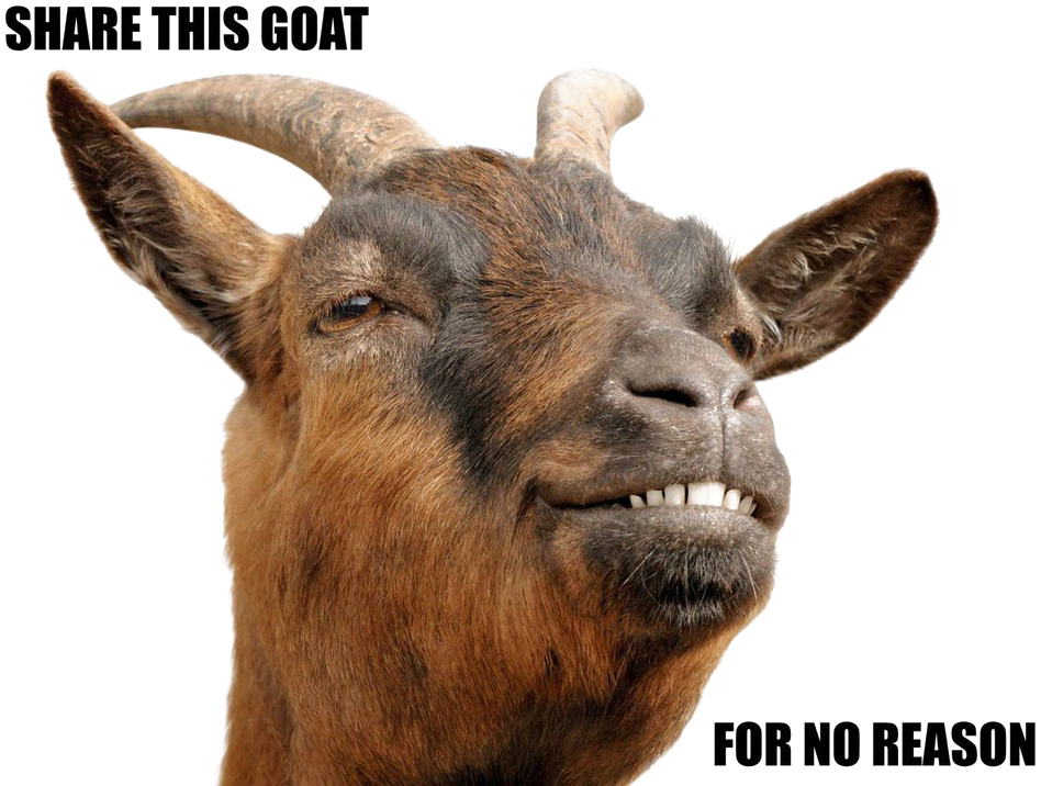 Smiling Goat Meme PNG image