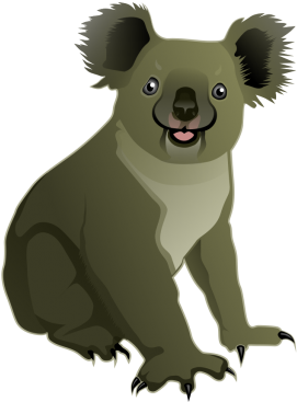 Smiling Koala Cartoon Illustration PNG image