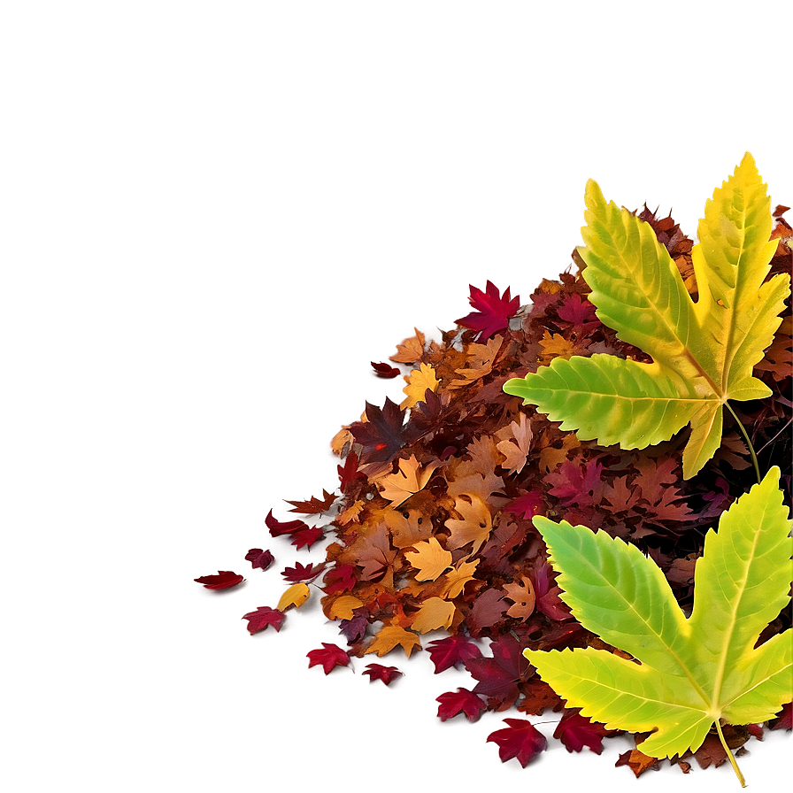 Smiling Leaf Pile Png 16 PNG image