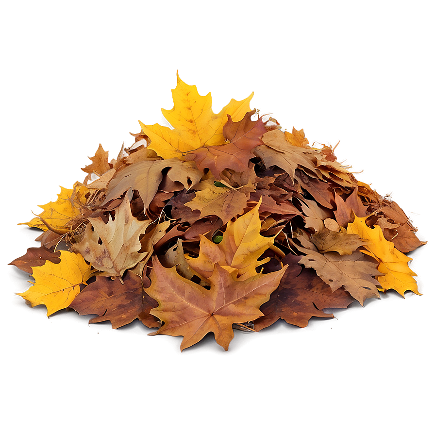 Smiling Leaf Pile Png Wrv93 PNG image