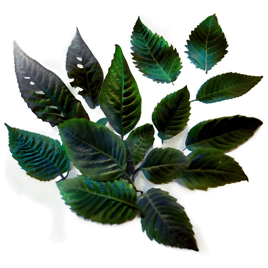 Smokey Leaves Png 05042024 PNG image