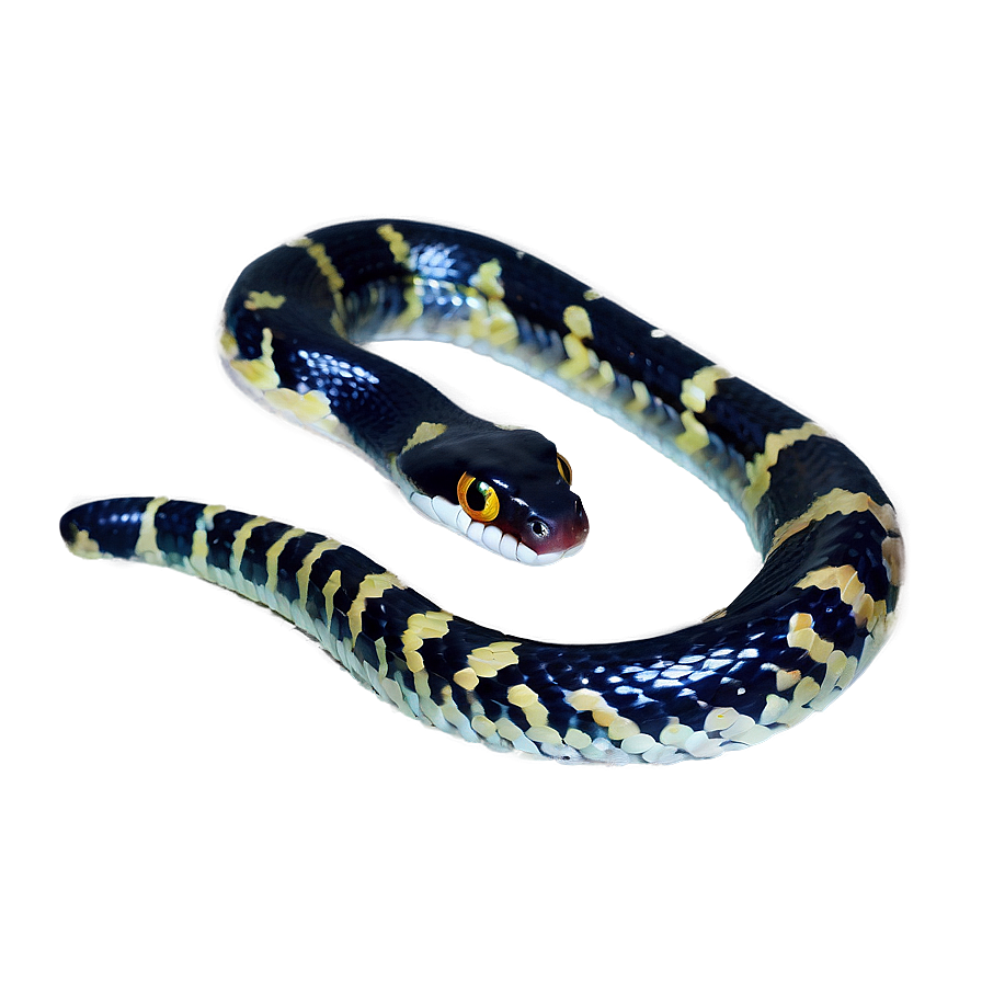 Snake In A Zoo Habitat Png 05032024 PNG image