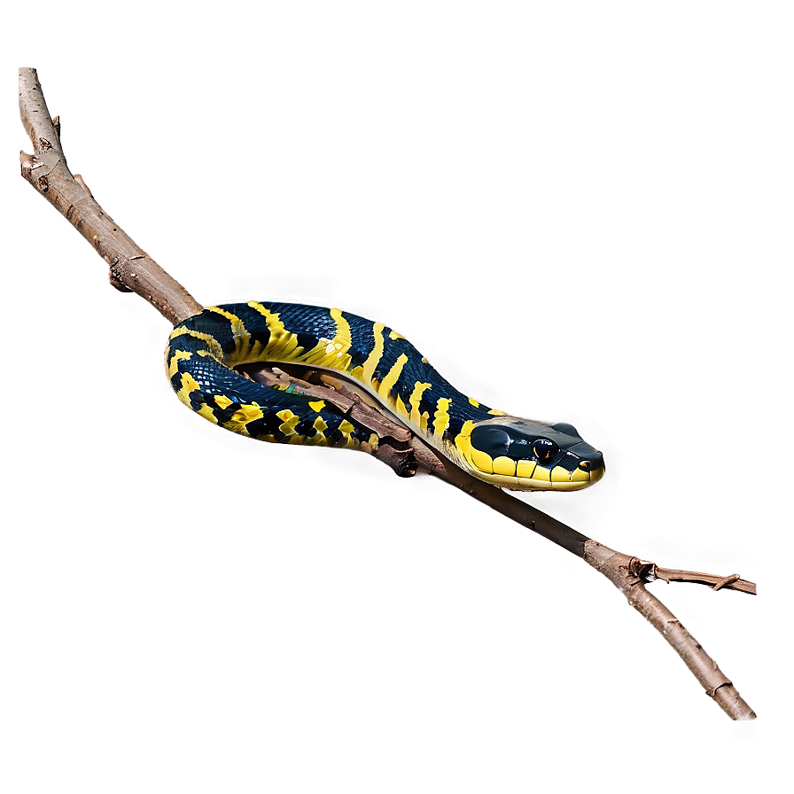 Snake On A Branch Png 05032024 PNG image