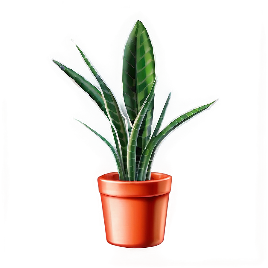 Snake Plant Illustration Png 06122024 PNG image