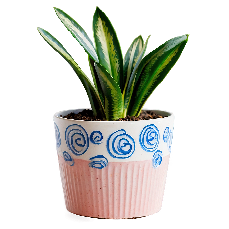 Snake Plant In Living Room Png 06122024 PNG image