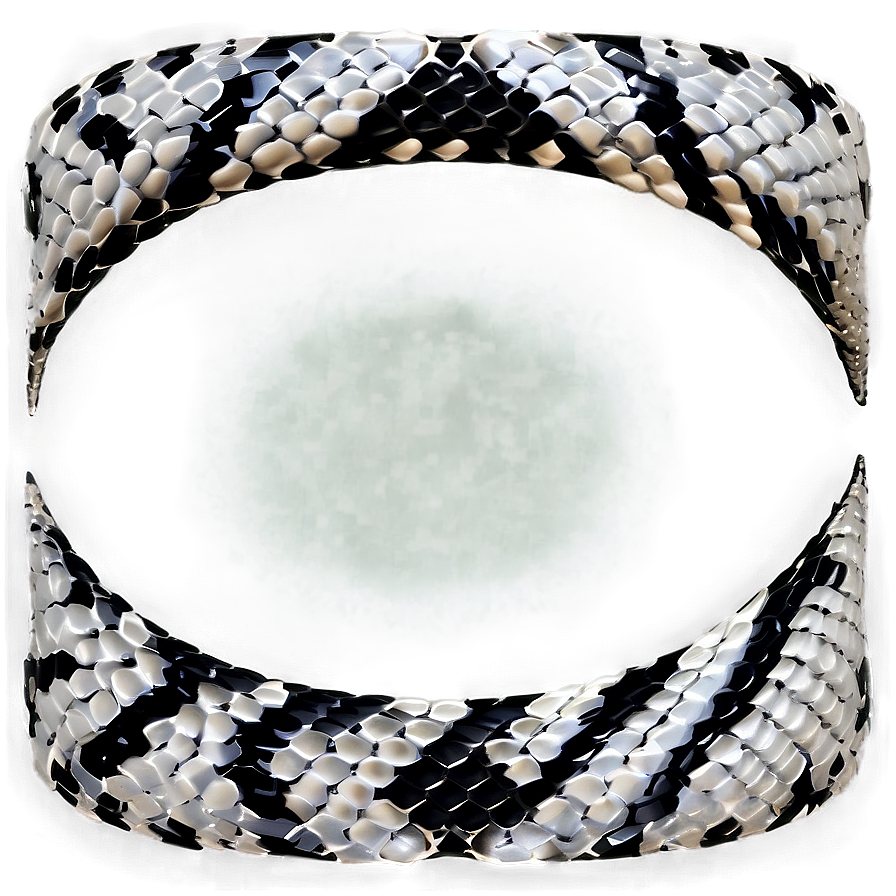 Snake Skin Appearance Png 06272024 PNG image