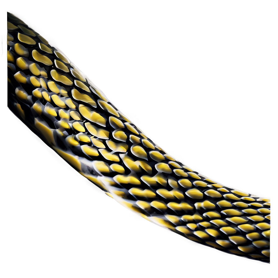 Snake Skin Appearance Png 27 PNG image