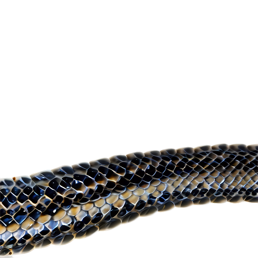 Snake Skin Style Png 47 PNG image