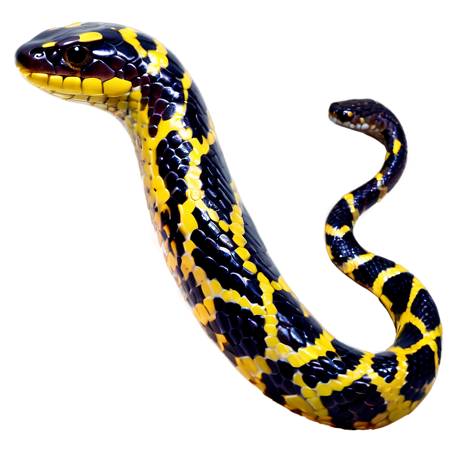 Snake Tail Png 27 PNG image