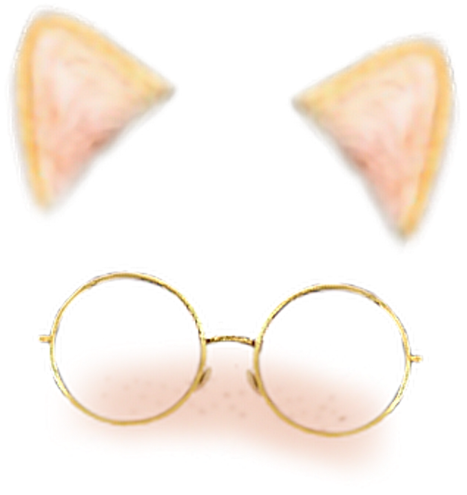 Snapchat Cat Earsand Glasses Filter PNG image