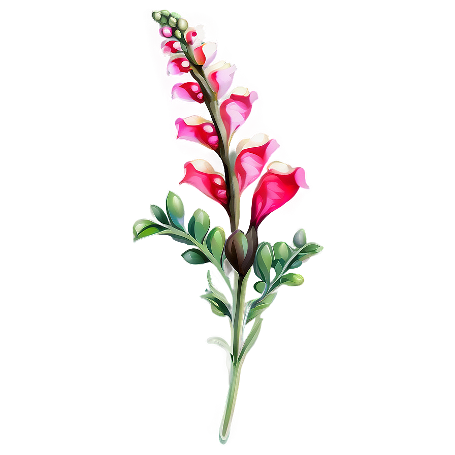 Snapdragon Flower Drawing Png 59 PNG image