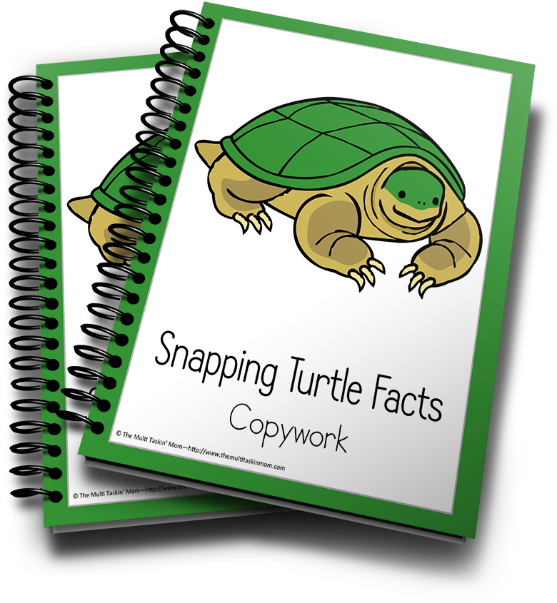 Snapping Turtle Facts Copywork Cover PNG image