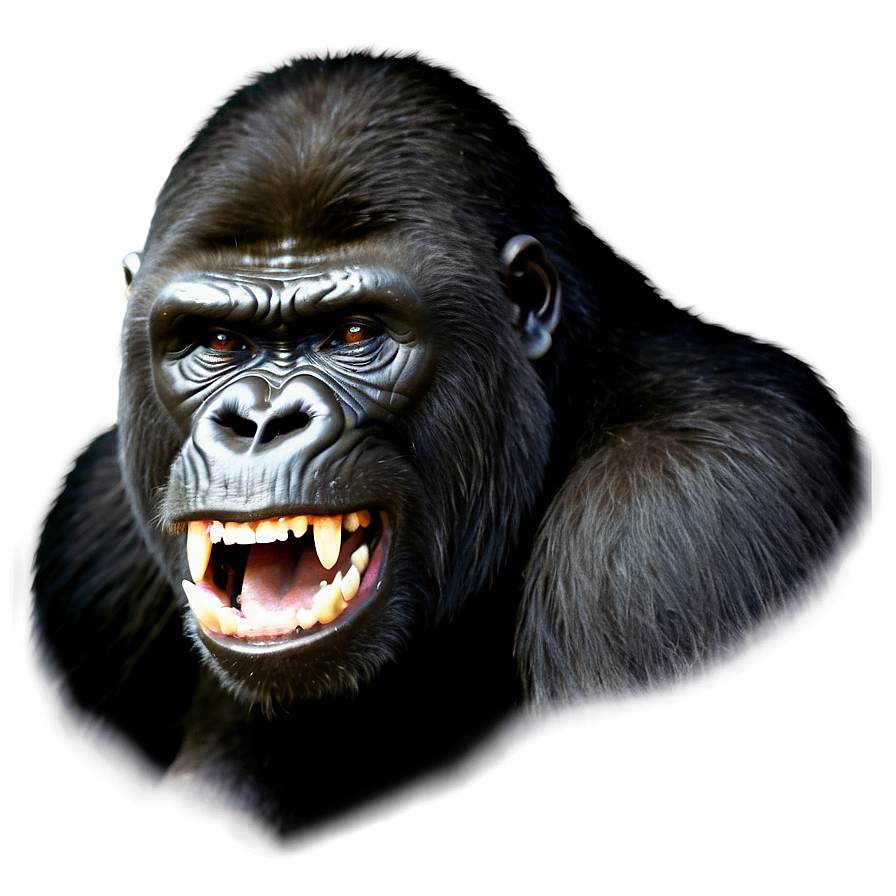 Snarling Gorilla Face Png 29 PNG image