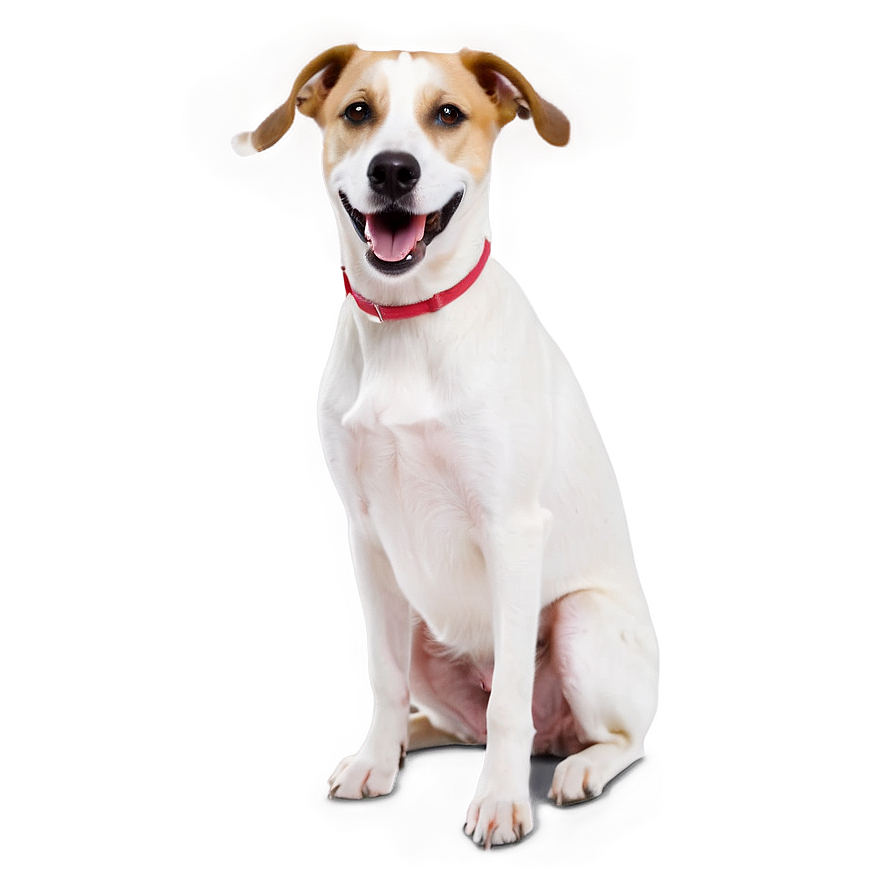 Snickering Dog Png Qeu19 PNG image
