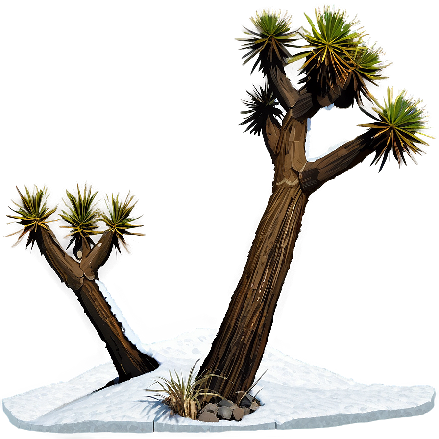 Snow-capped Joshua Tree Png Ypr PNG image