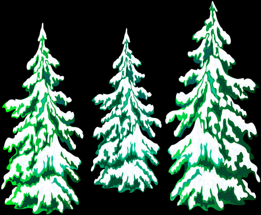 Snow Covered Pine Trees Illustration PNG image