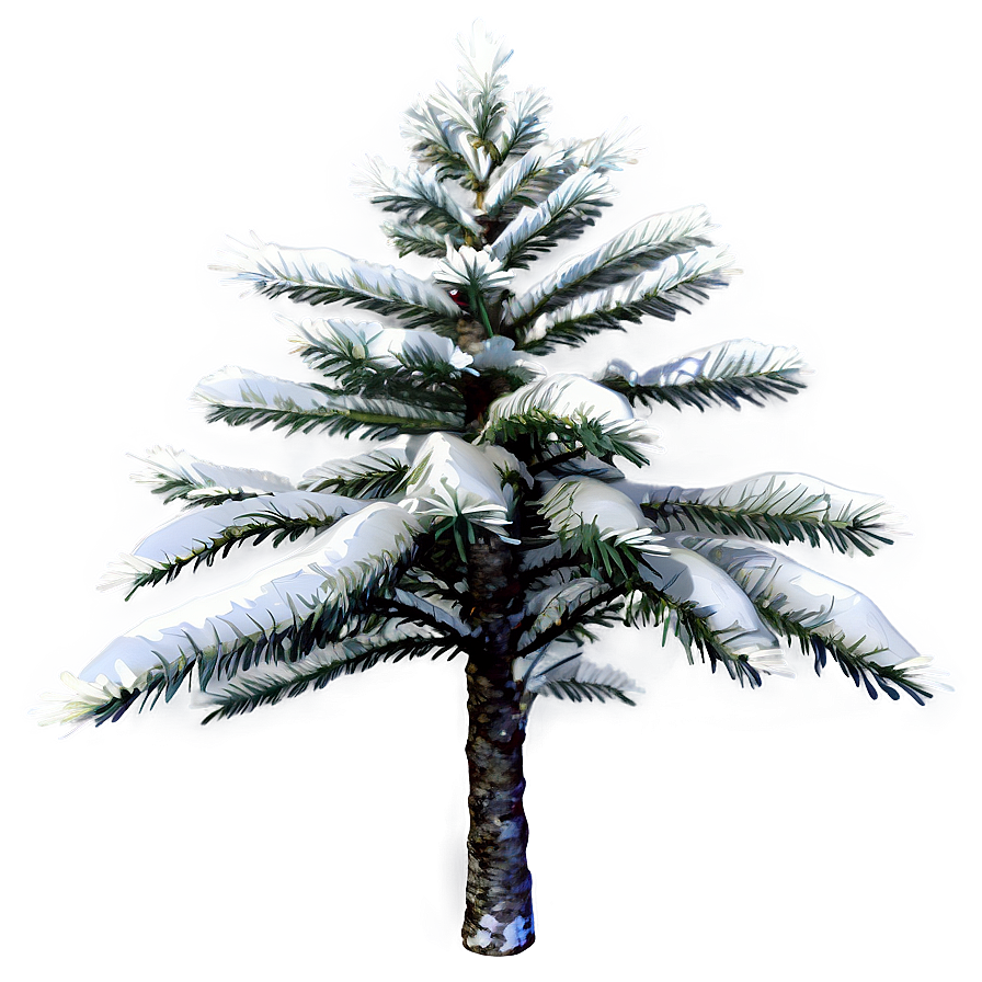 Snow-covered Spruce Tree Png 40 PNG image