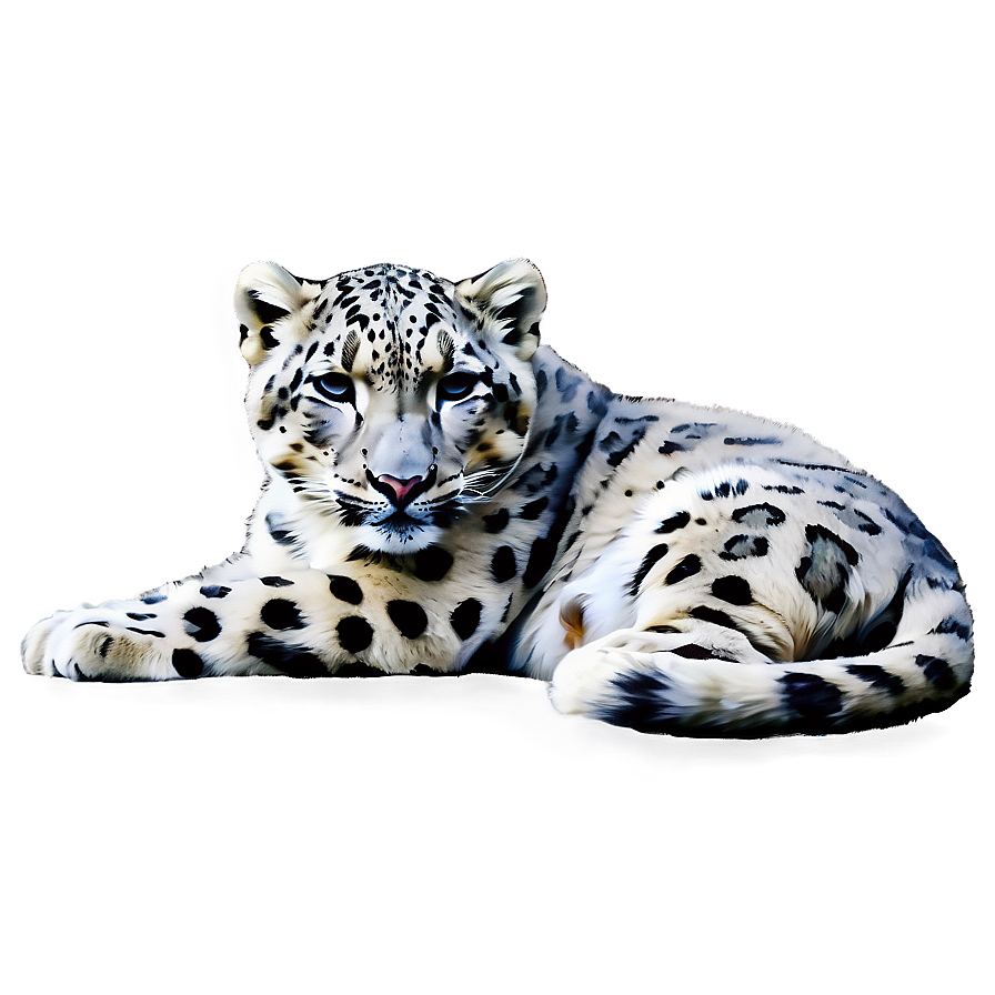 Snow Leopard Sketch Art Png 06122024 PNG image