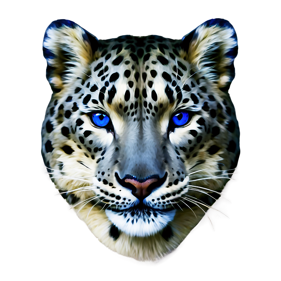 Snow Leopard With Blue Eyes Png Rid90 PNG image