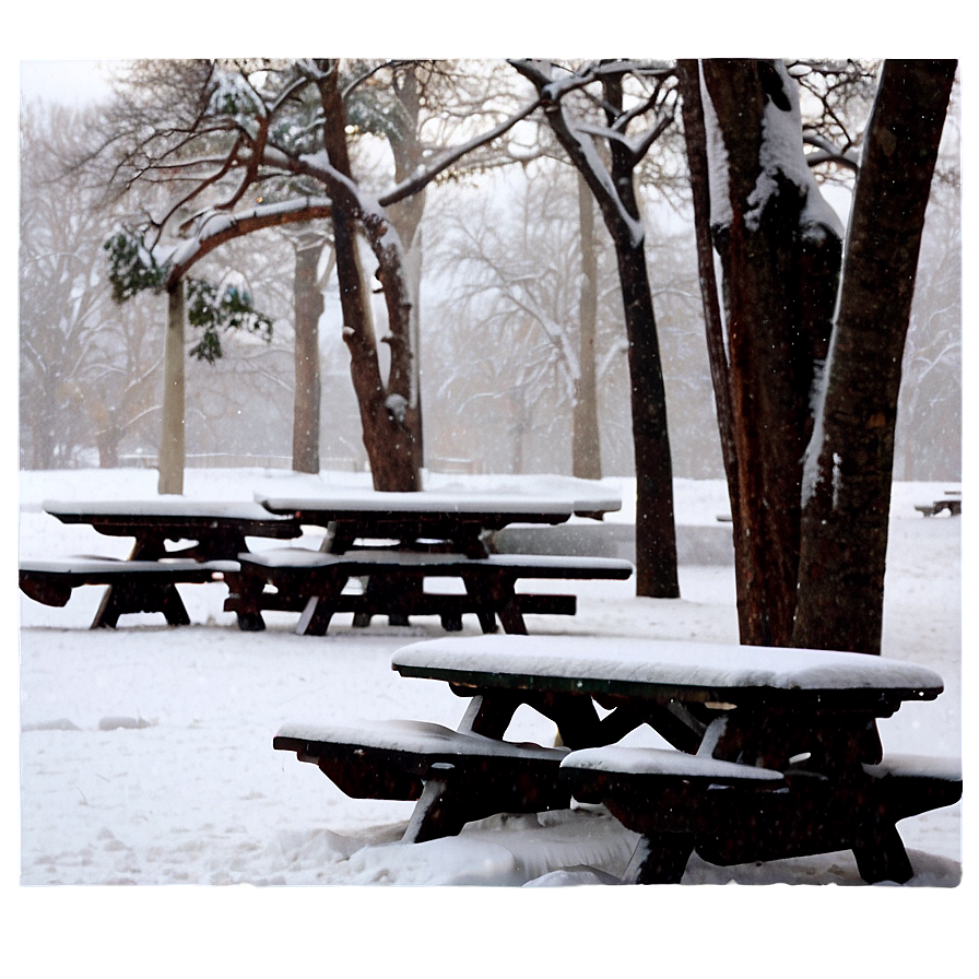 Snowfall Over Picnic Area Png 98 PNG image