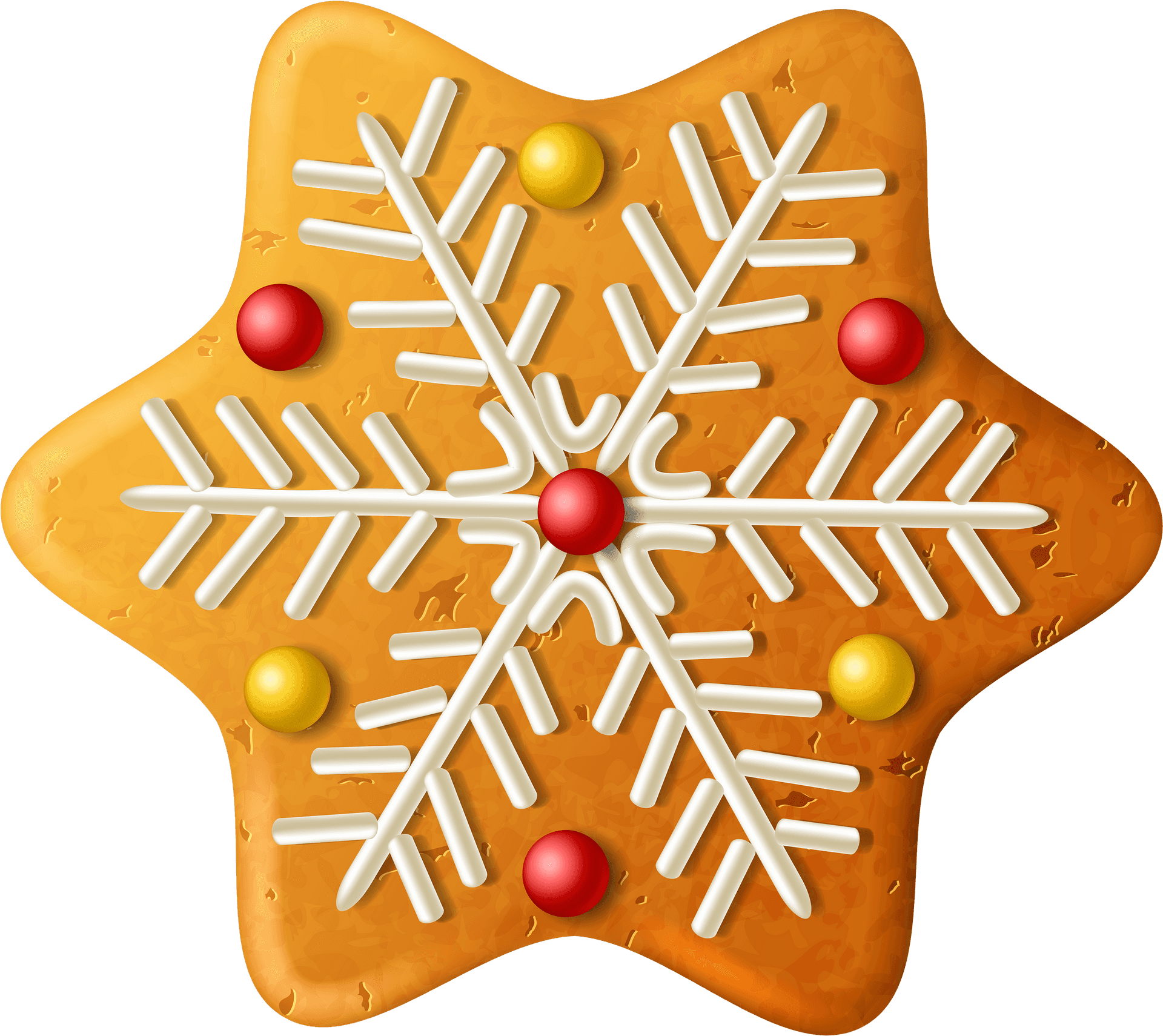 Snowflake Decorated Gingerbread Cookie PNG image