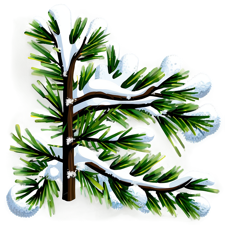 Snowy Branches Transparent Png 05252024 PNG image