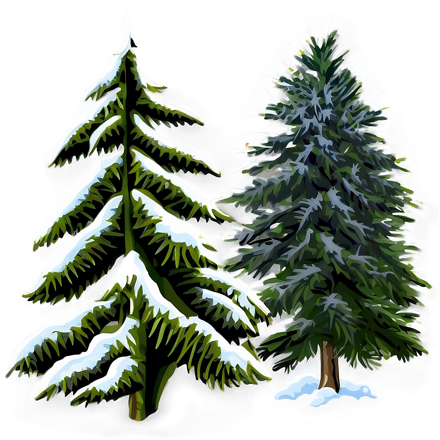 Snowy Cedar Tree Png 42 PNG image