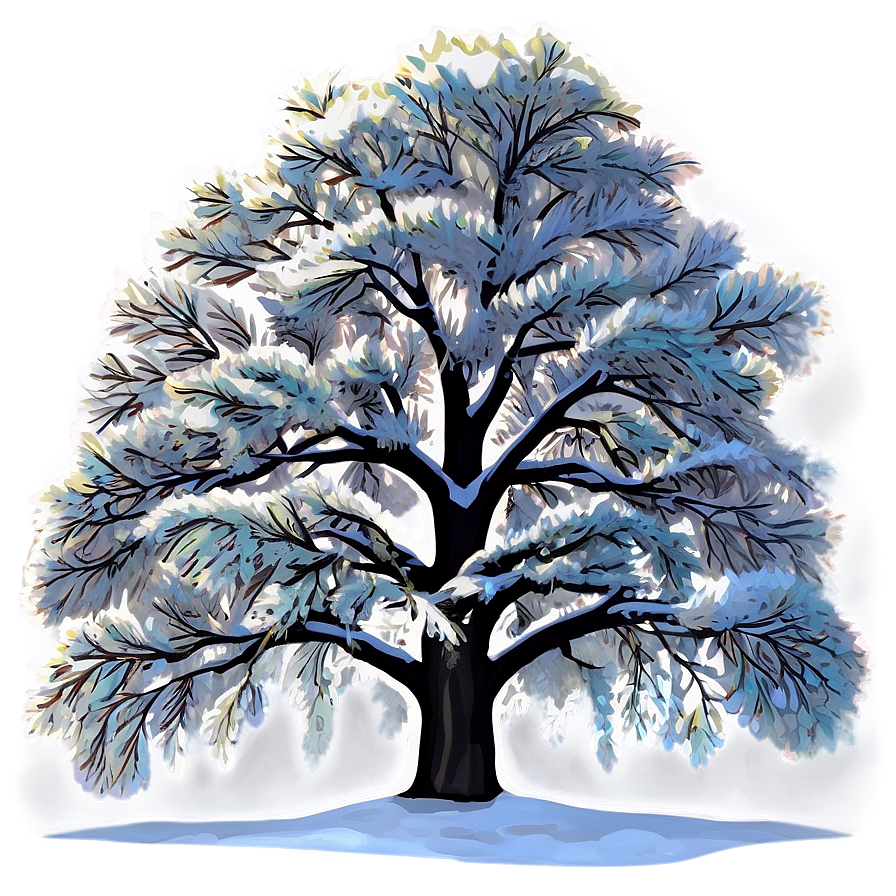 Snowy Elm Tree Png Agu31 PNG image