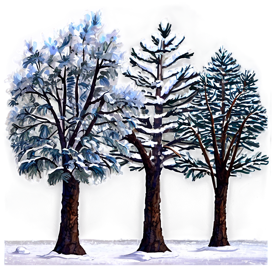 Snowy Grove Trees Png 06292024 PNG image