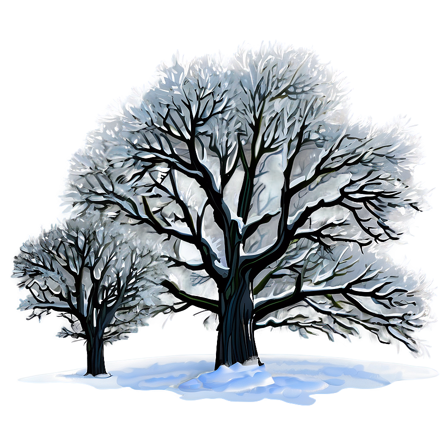 Snowy Grove Trees Png Wgk69 PNG image