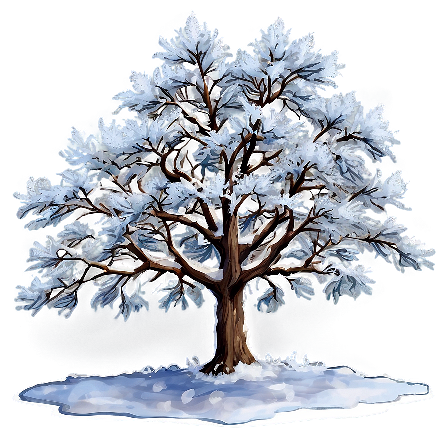 Snowy Maple Tree Png Qir PNG image