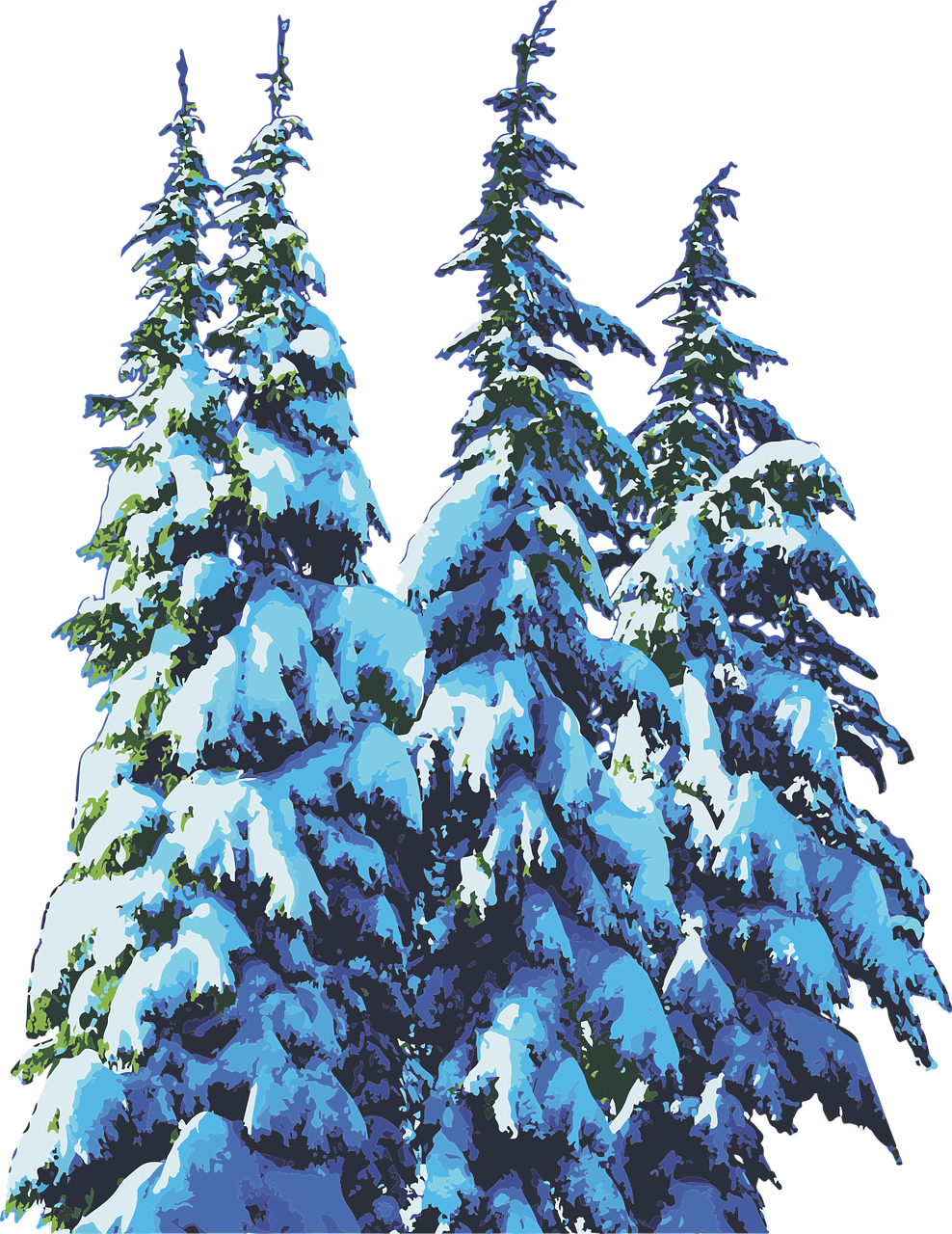 Snowy Pine Trees Winter Scene PNG image