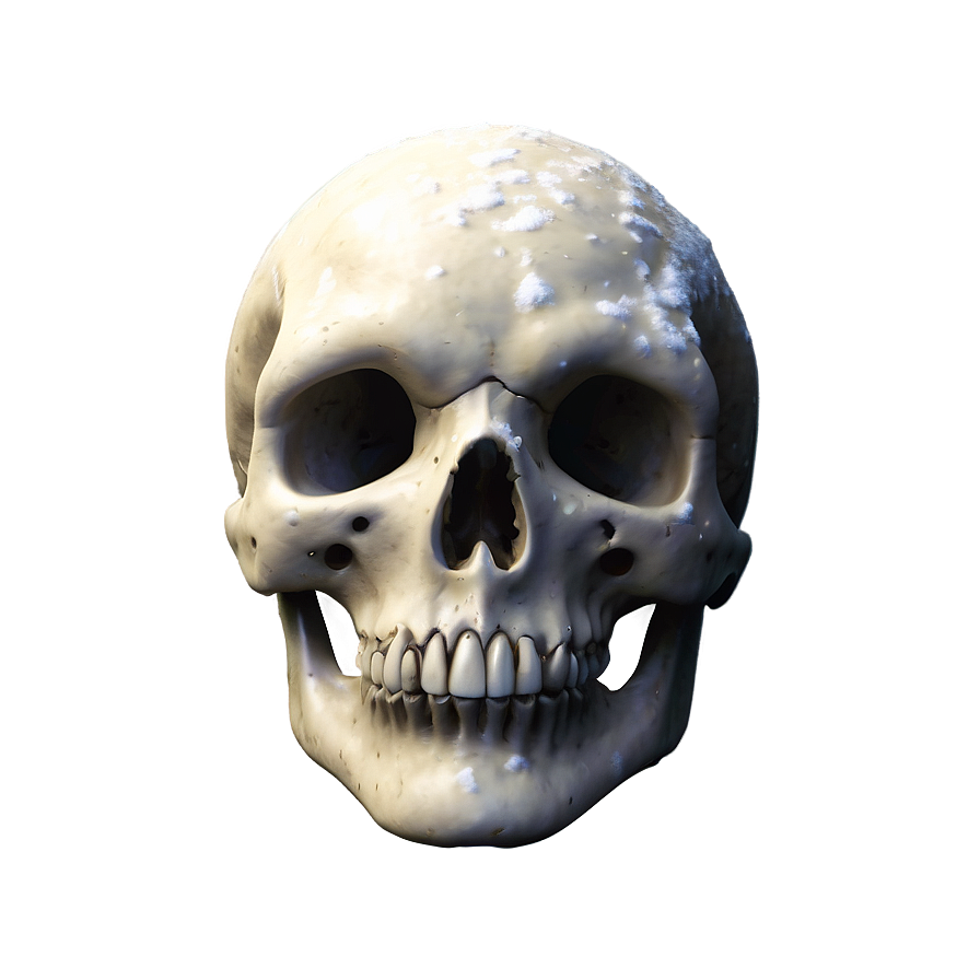 Snowy Skull Face Picture Png 81 PNG image