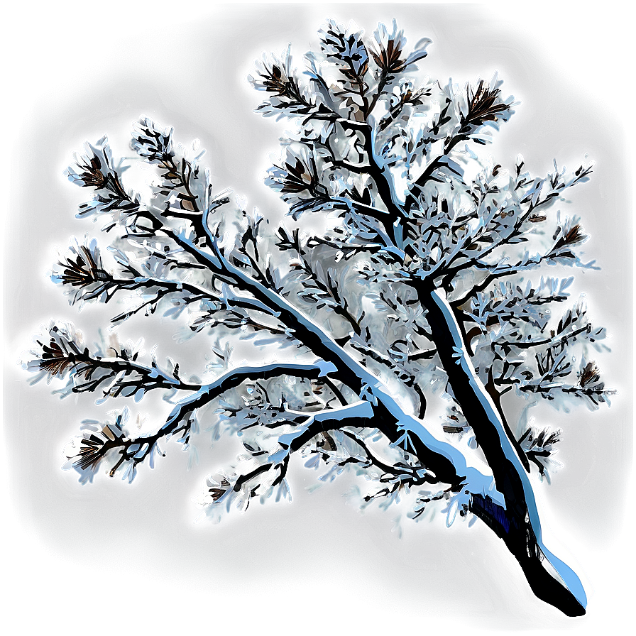 Snowy Tree Branches Png 06212024 PNG image