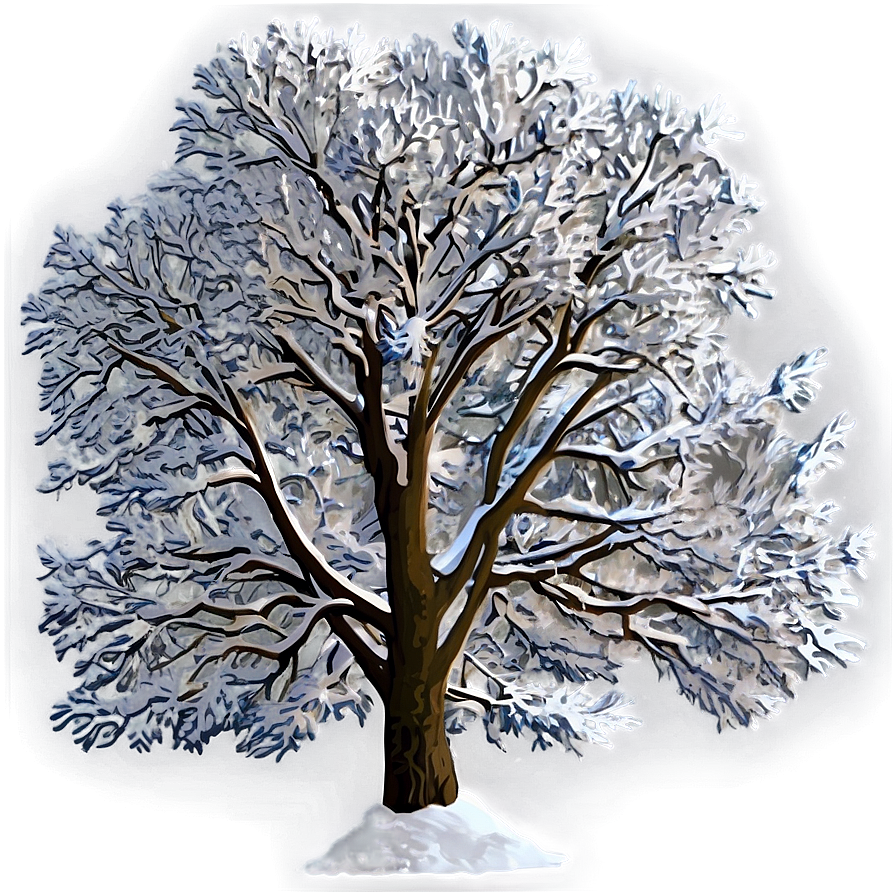 Snowy Tree In Field Png 06272024 PNG image