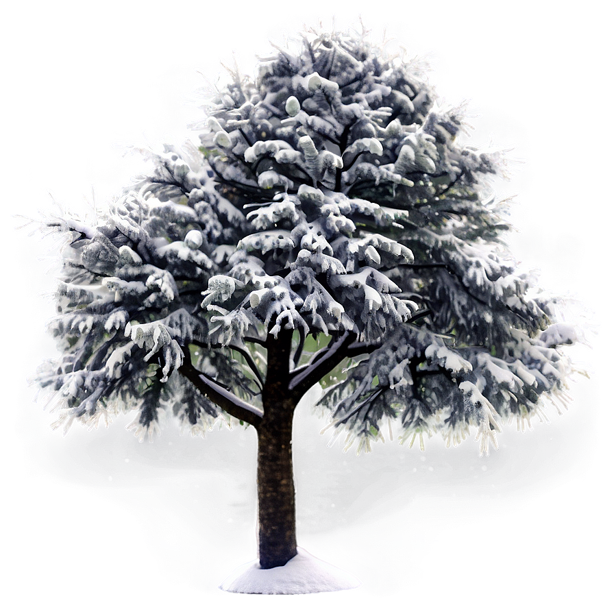 Snowy Tree In Forest Png 06212024 PNG image