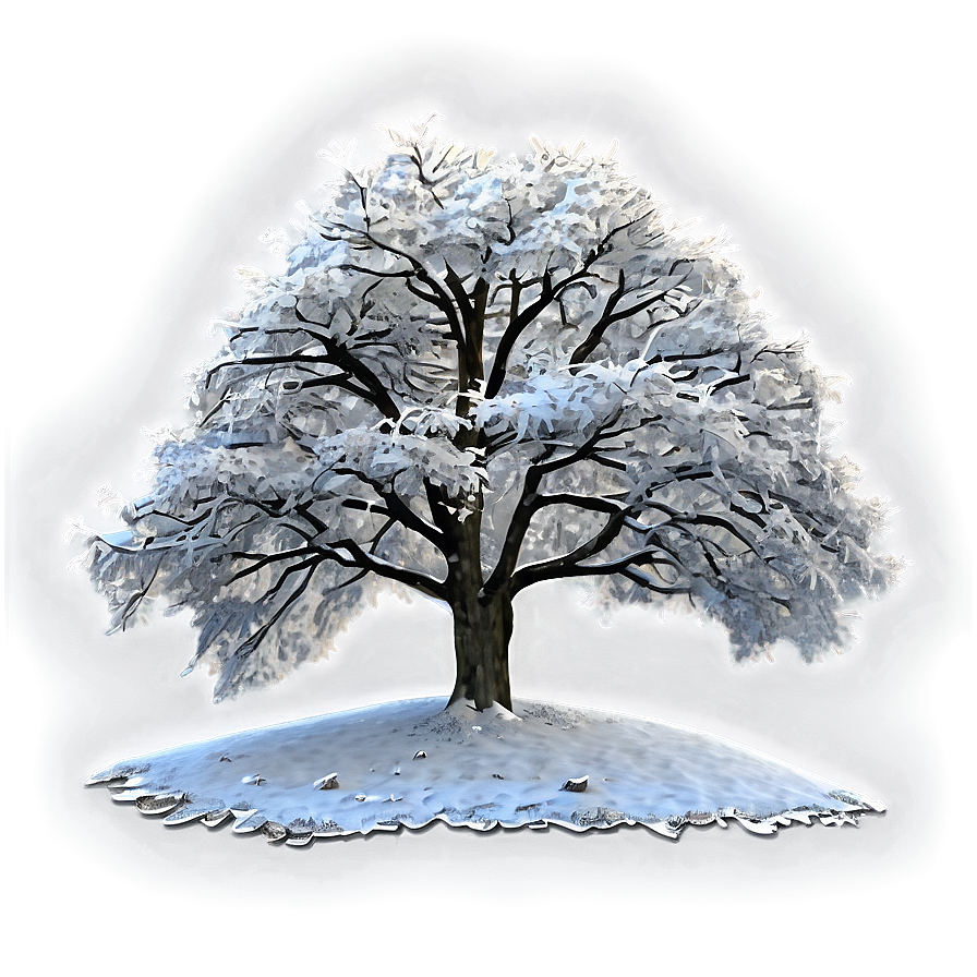 Snowy Tree In Forest Png 60 PNG image