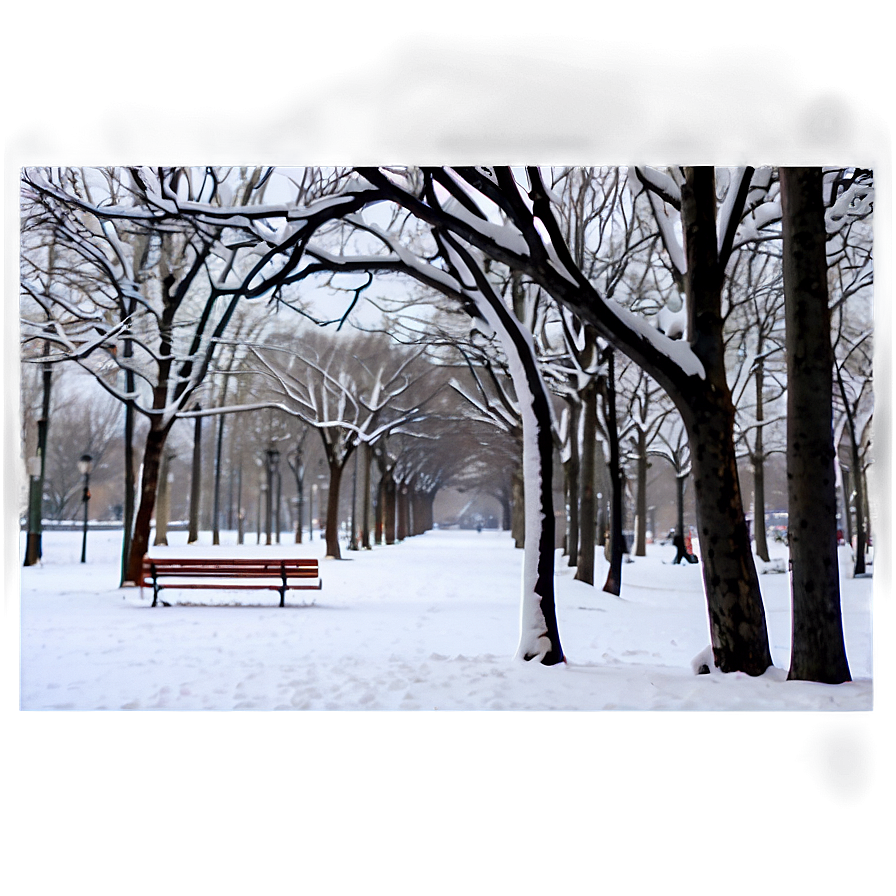 Snowy Tree In Park Png Cdw PNG image