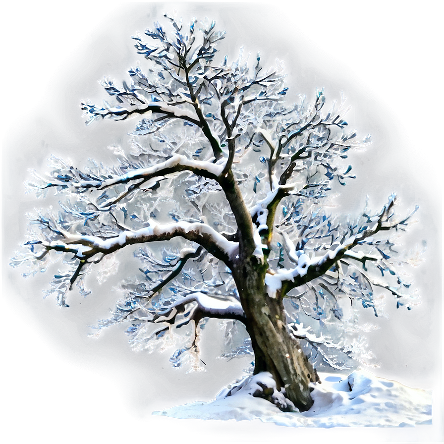 Snowy Tree On Mountain Png 60 PNG image