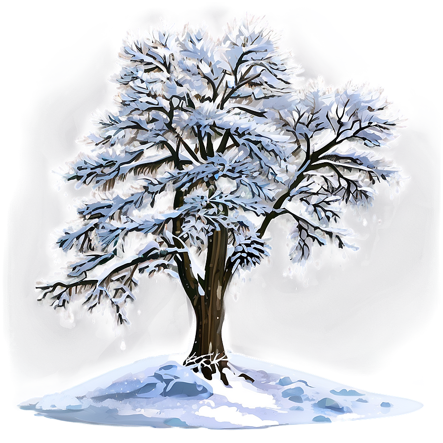 Snowy Tree Reflection Png 89 PNG image