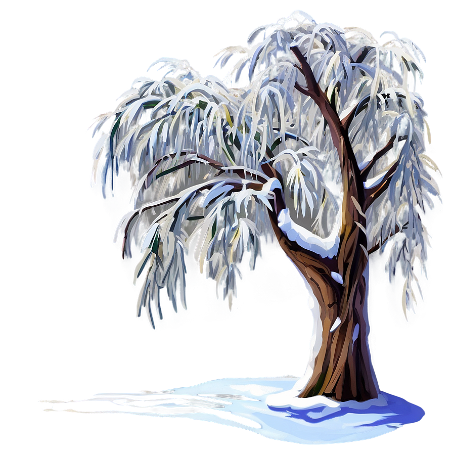 Snowy Willow Tree Png 34 PNG image