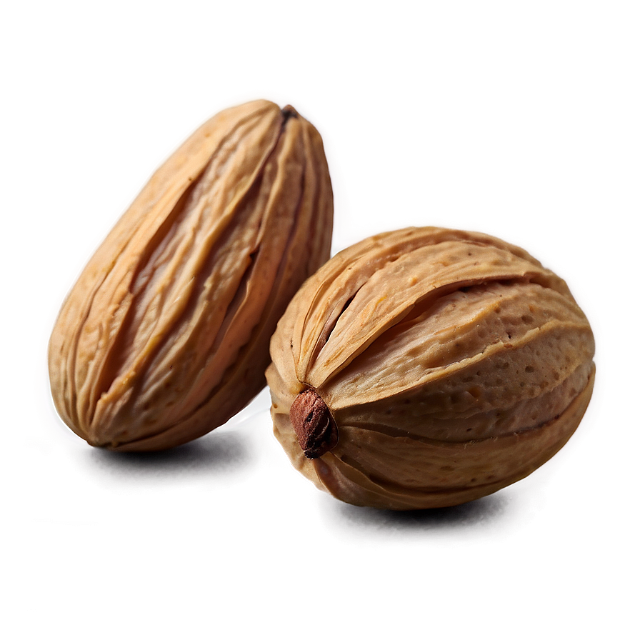 Soaked Almond Png 05242024 PNG image