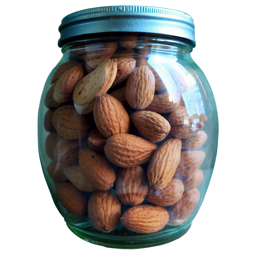 Soaked Almond Png Epo PNG image