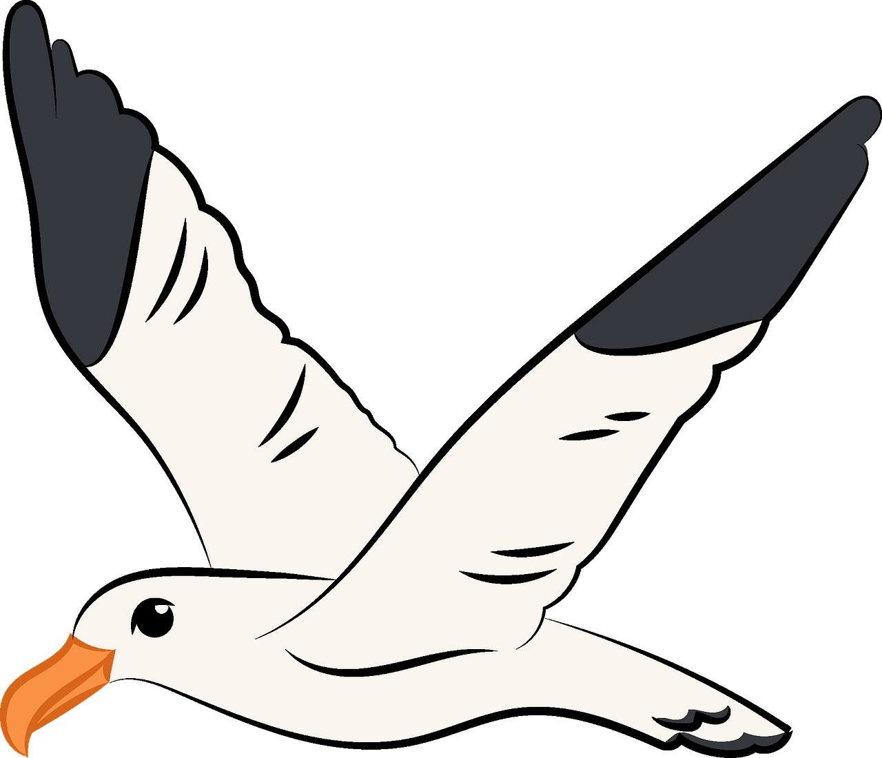 Soaring Seagull Illustration PNG image