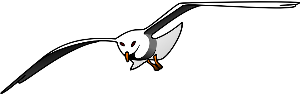 Soaring Seagull Vector Illustration PNG image