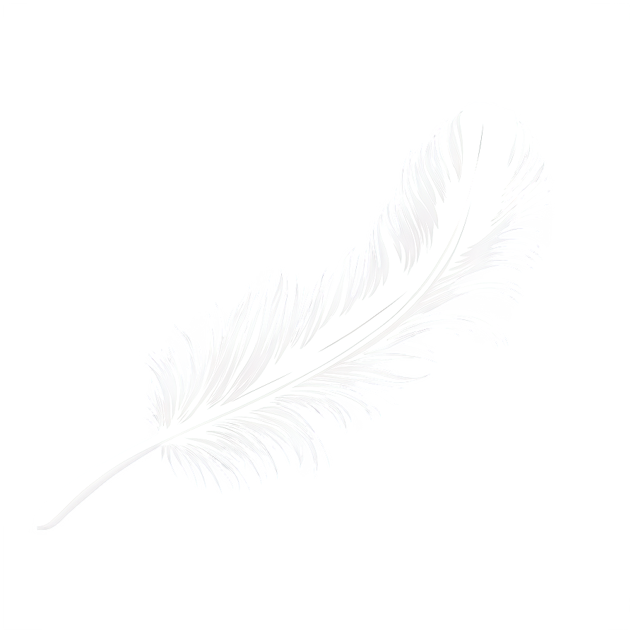 Soft Feather Clipart Png 06252024 PNG image